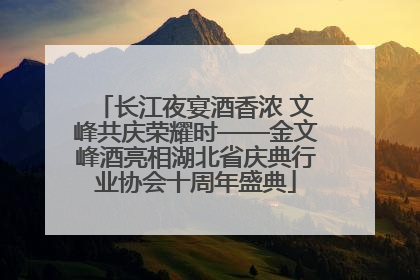 长江夜宴酒香浓 文峰共庆荣耀时——金文峰酒亮相湖北省庆典行业协会十周年盛典